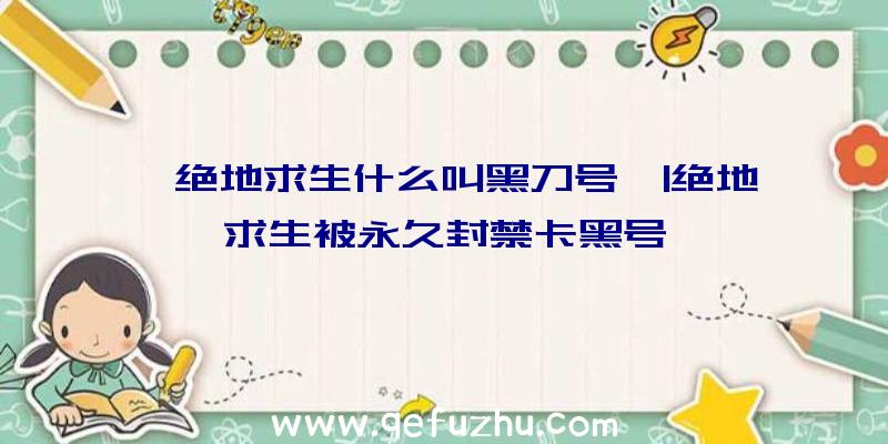 「绝地求生什么叫黑刀号」|绝地求生被永久封禁卡黑号